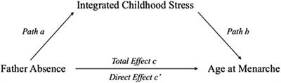 Meta-Analysis of Direct and Indirect Effects of Father Absence on Menarcheal Timing
